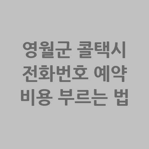 영월군_콜택시_전화번호_예약_비용_부르는_법-1