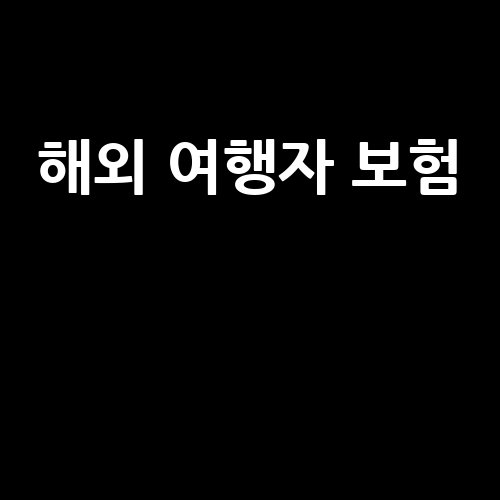 해외_여행자_보험__-1