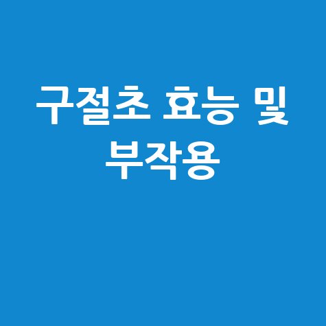 구절초 효능 및 부작용 완벽 정리