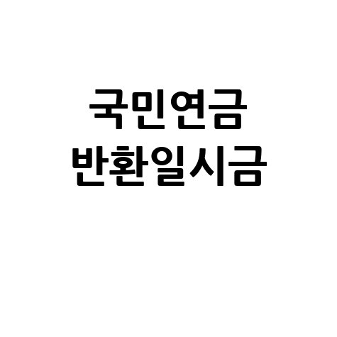 국민연금 반환일시금 신청 방법 안내