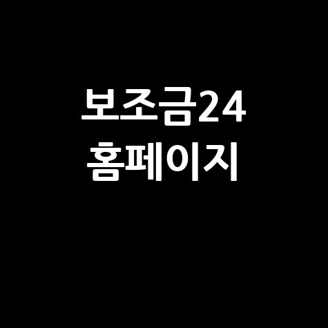 보조금24, 사업 성공의 길잡이