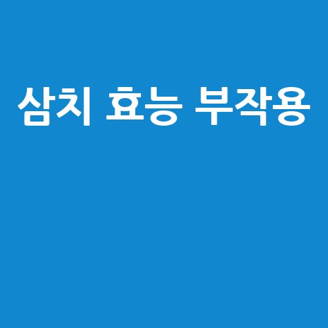 삼치 효능과 부작용 알아보기
