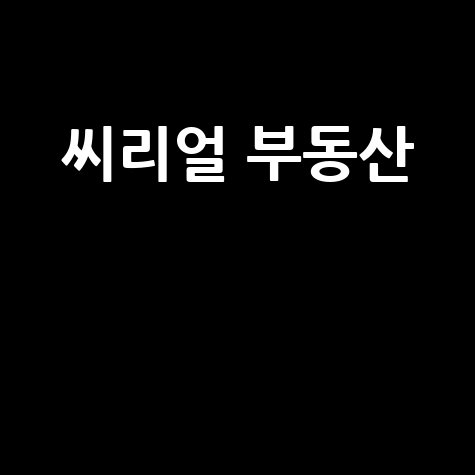 씨리얼 부동산: 안정적 투자 전략