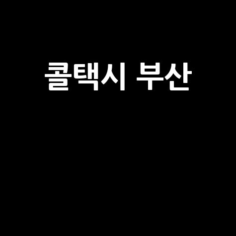 부산 콜택시: 빠르고 편리한 이동