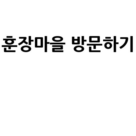훈장마을 방문 후기: 꼭 가봐야 할 곳