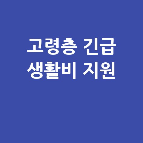 노후긴급자금 대부지원 고령층 긴급 생활비 해결책
