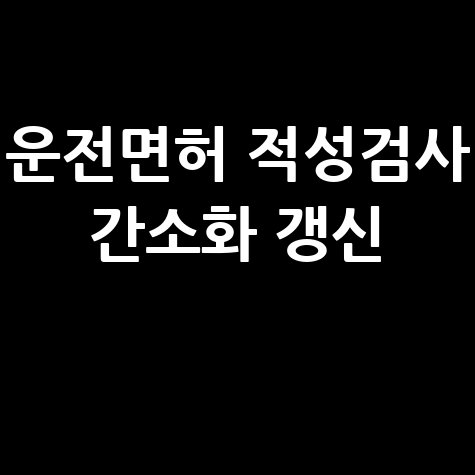 운전면허 적성검사 간소화 서비스 제공 갱신 방법 총정리