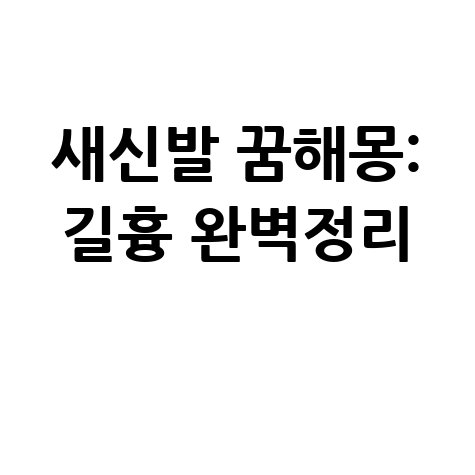 새신발 신는 꿈해몽 길몽 흉몽 완벽 정리