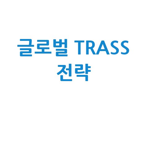 글로벌 시장 진출 TRASS 전략과 현지화