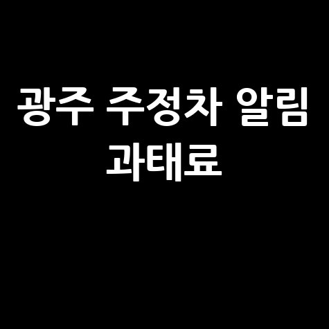 경기도광주시주정차단속알림서비스신청과태료납부안내