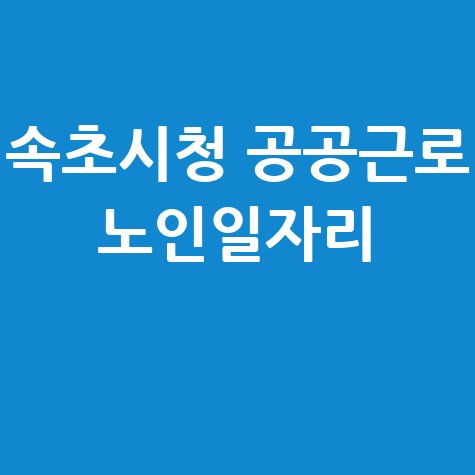 속초시청 공공근로 홈페이지 신청 노인일자리