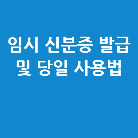 임시 신분증 인터넷 발급 방법 및 당일 사용 가능 여부 확인